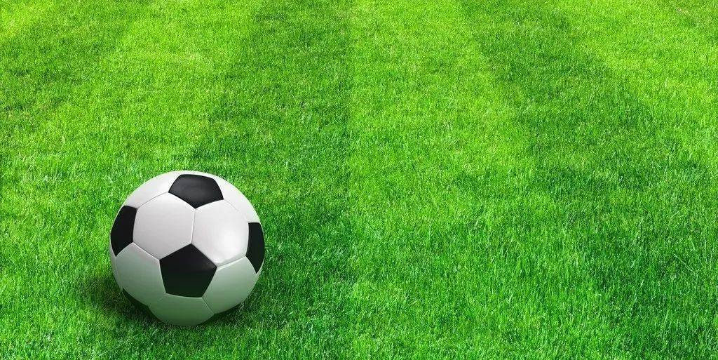 雷速体育赛事预测分析界面